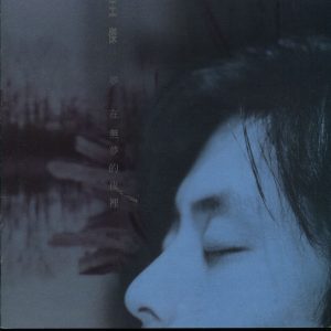 王杰 – 梦在无梦的夜里(745099987565)【24Bit／44.1kHz】香港区-OppsUnote音乐广场