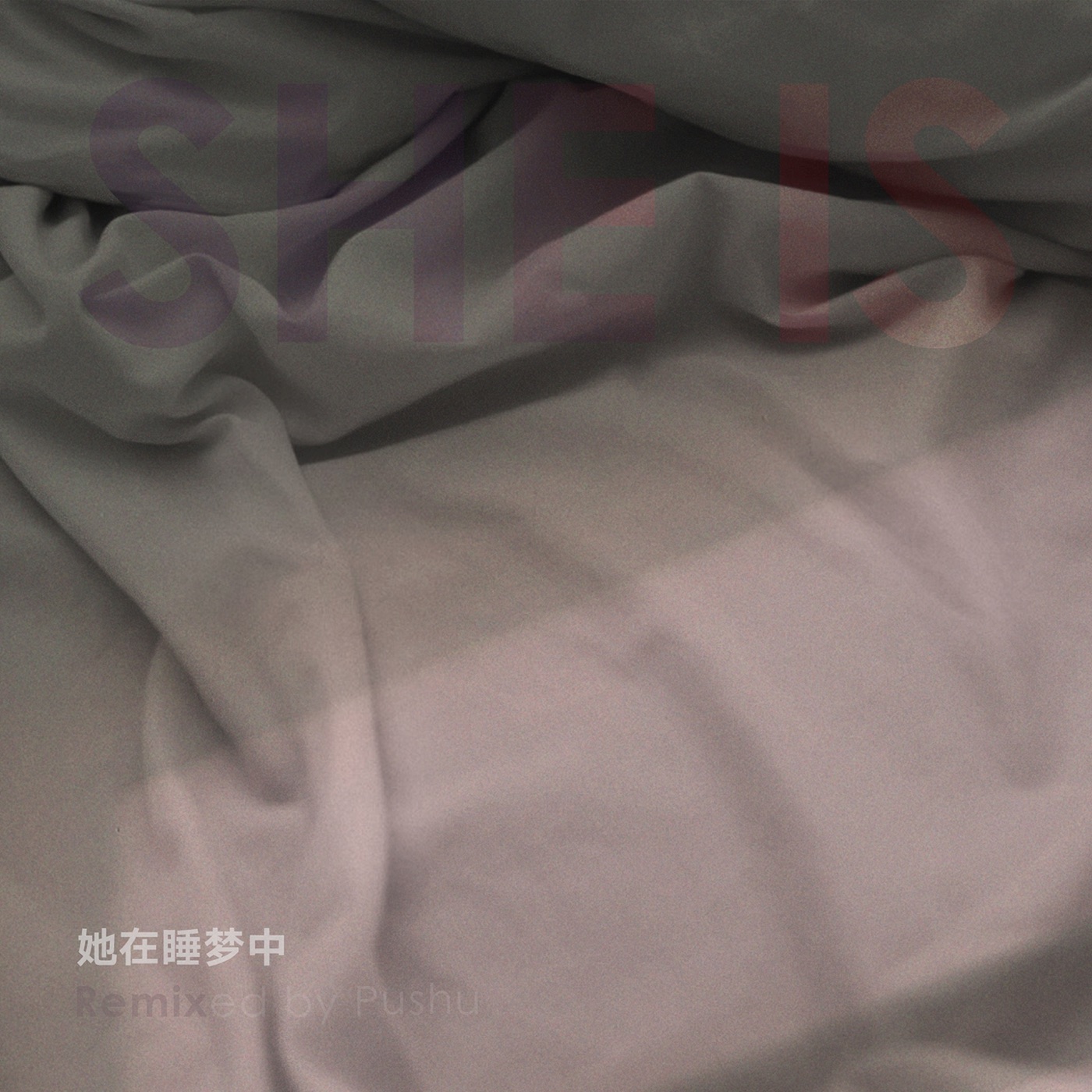 朴树 – 她在睡梦中remix – Single(3615938545379)【16bit／44.1kHz】台湾区-OppsUnote音乐广场