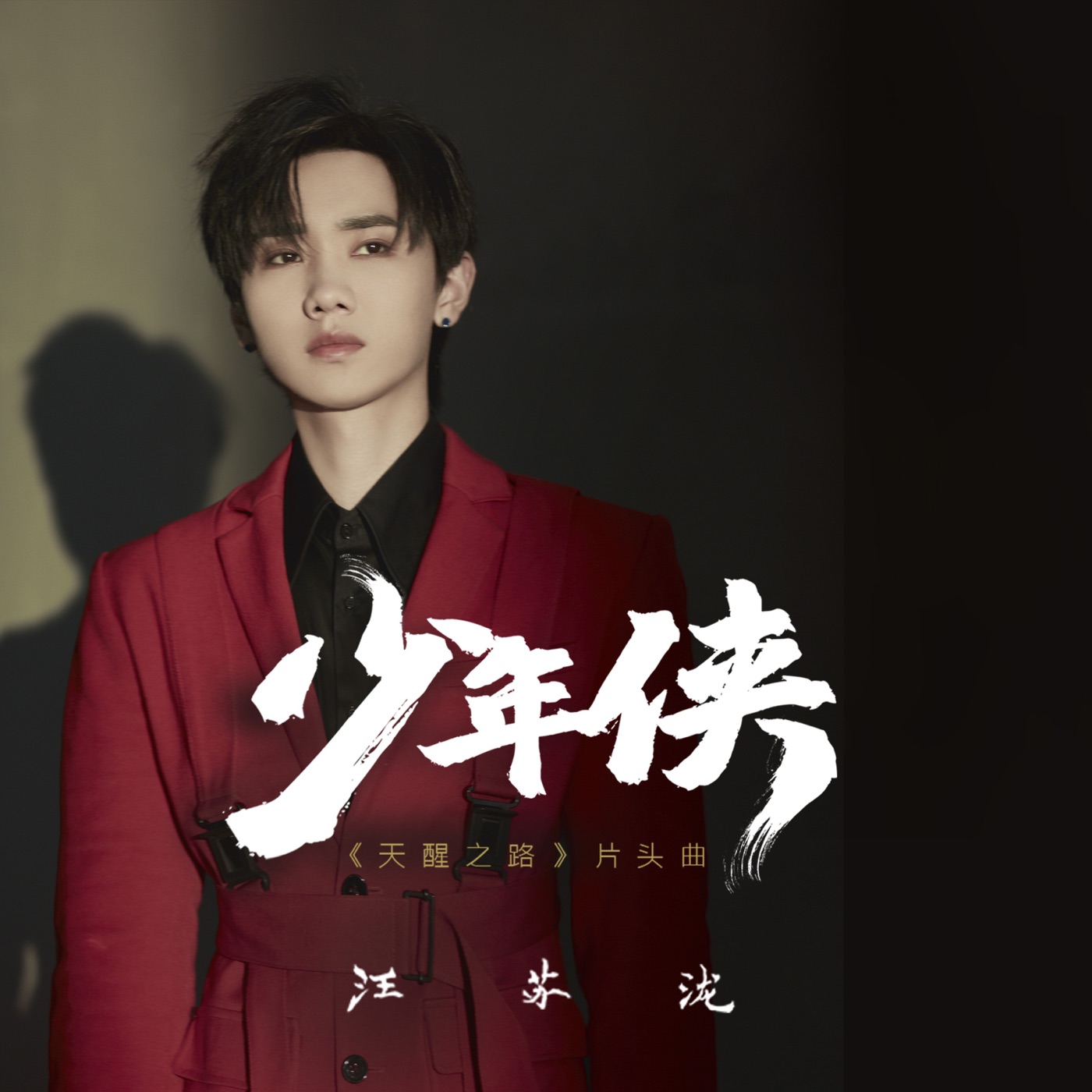 汪苏泷 – 少年侠(《天醒之路》片头曲) – Single(8445281113544)【16bit／44.1kHz】台湾区-OppsUnote音乐广场