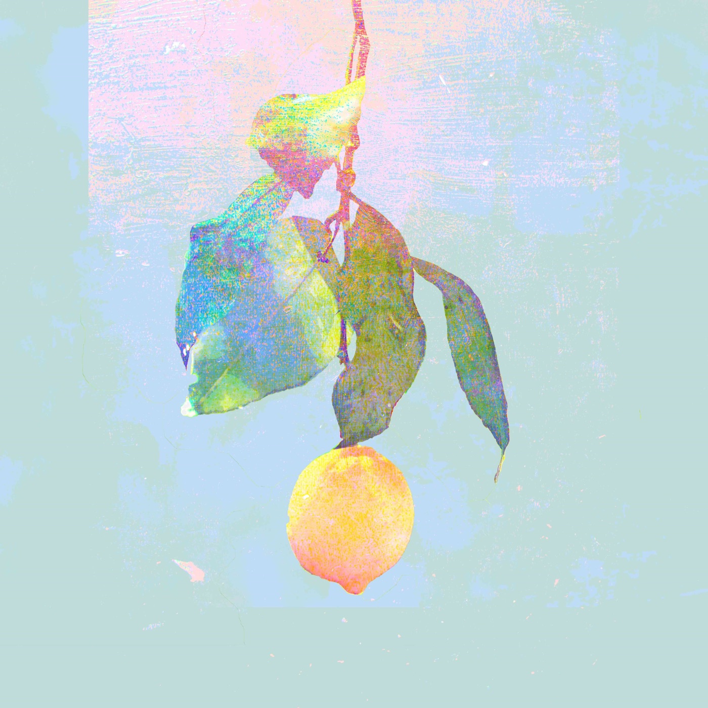 米津玄师 – Lemon – Single(4547366354904)【24bit／48.0kHz】日本区-OppsUnote音乐广场