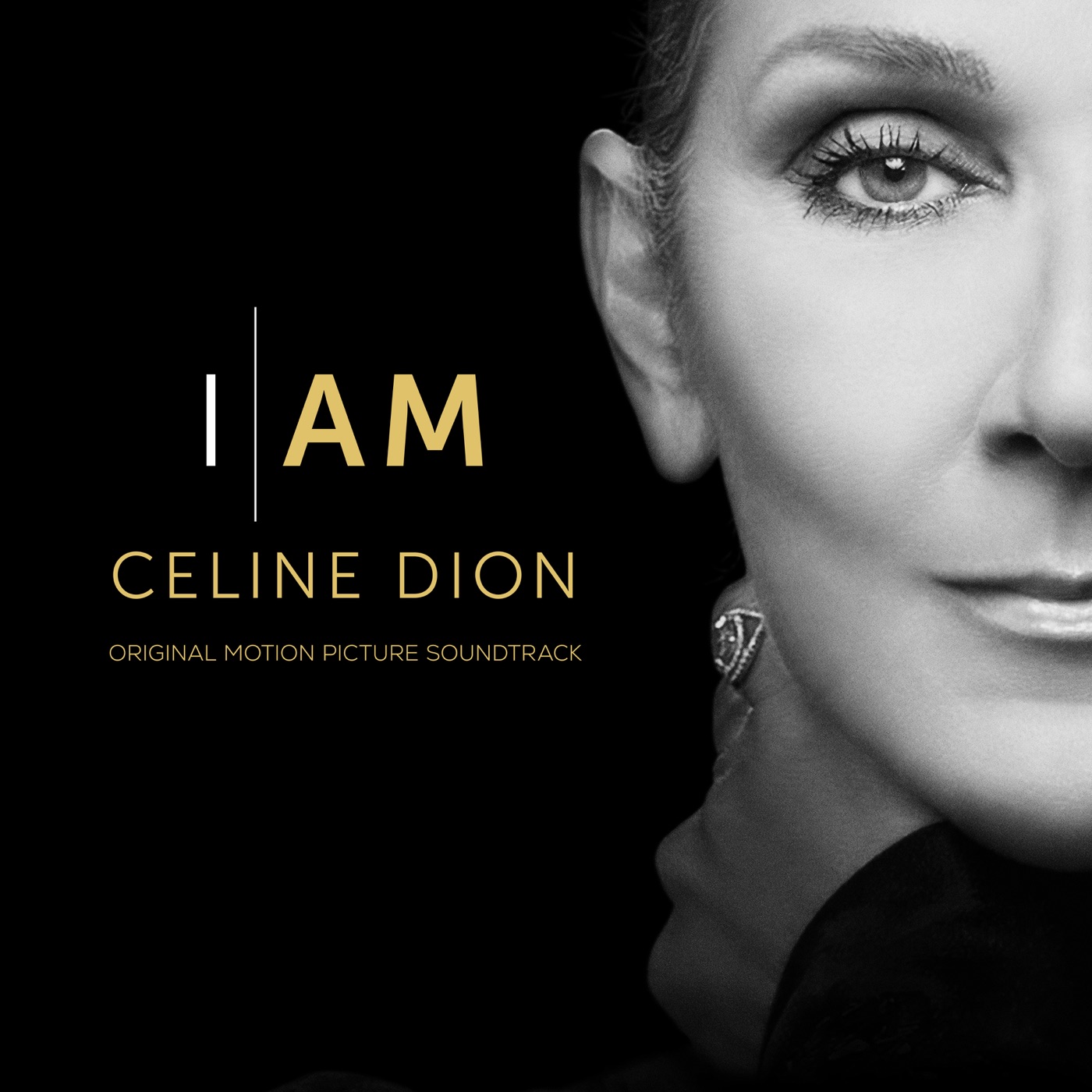 Céline Dion – I AM：CELINE DION (Original Motion Picture Soundtrack)(196871888974)【24bit／48.0kHz】美国区-OppsUnote音乐广场