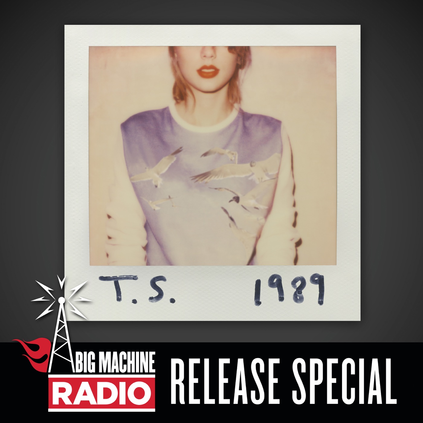 Taylor Swift – 1989 (Big Machine Radio Release Special)(00843930039562)【16bit／44.1kHz】美国区-OppsUnote音乐广场