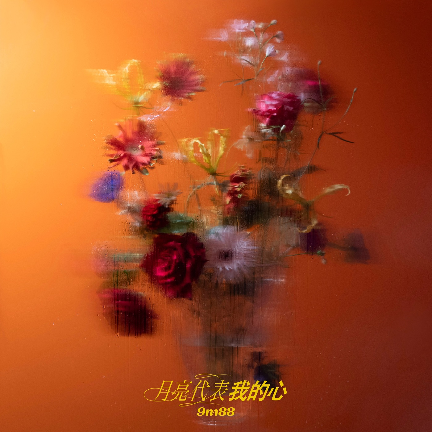 9m88 – 月亮代表我的心 (剧集《华灯初上》插曲) – Single(193017054583)【24bit／48.0kHz】台湾区-OppsUnote音乐广场