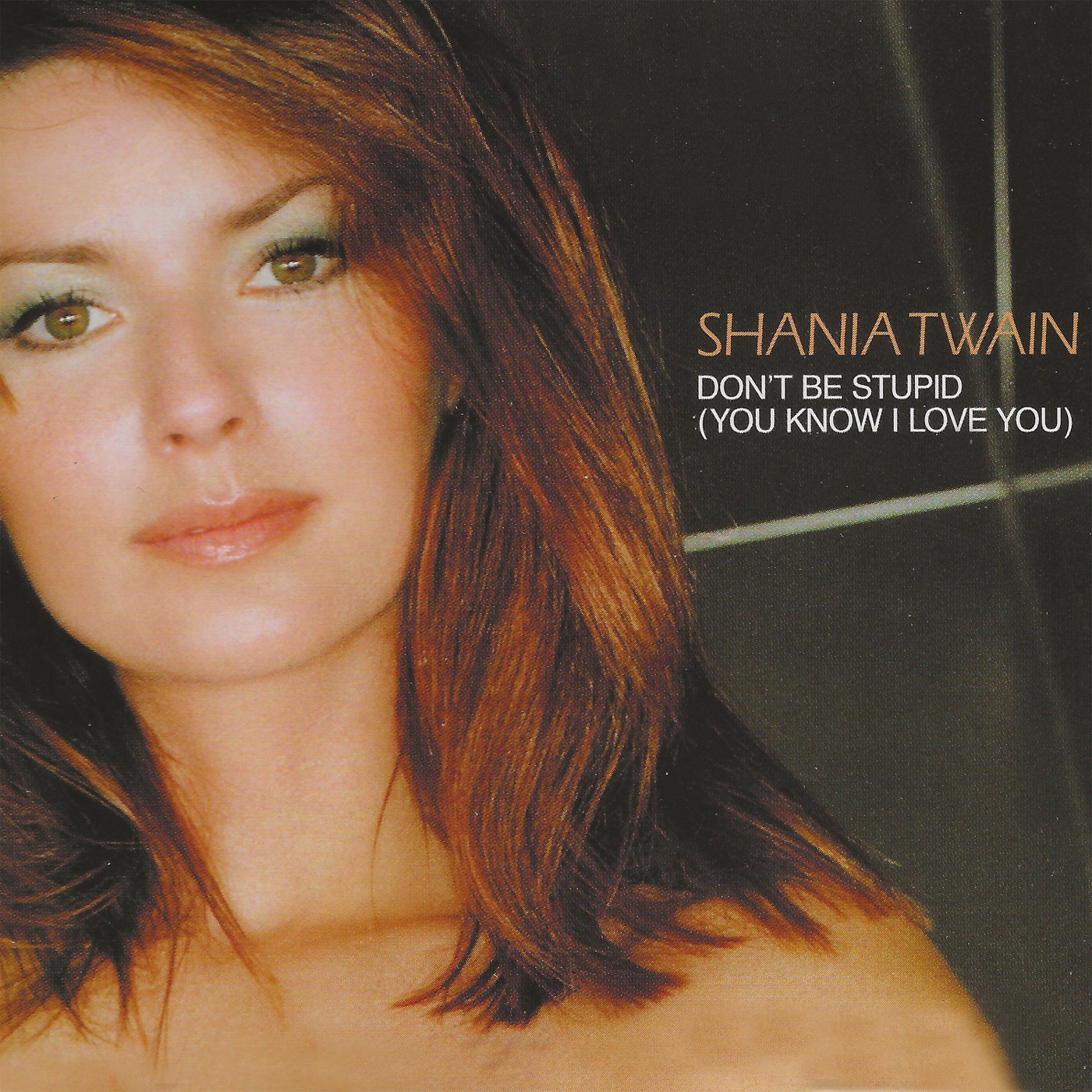 Shania Twain – Don’t Be Stupid (You Know I Love You) – Single(00602435675756)【16bit／44.1kHz】美国区-OppsUnote音乐广场