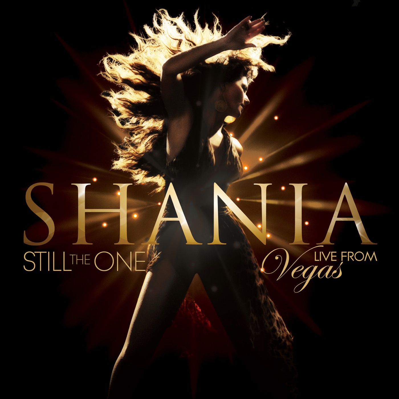 Shania Twain – Still the One：Live from Vegas(00602547213068)【24bit／44.1kHz】美国区-OppsUnote音乐广场