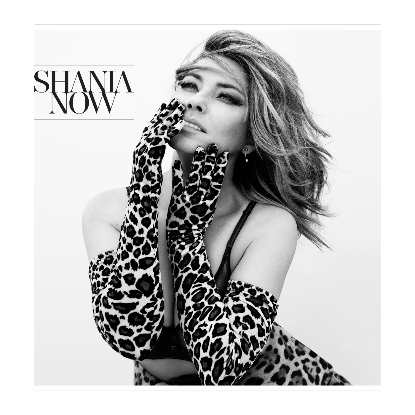 Shania Twain – Now (Deluxe)(00602557427608)【24bit／44.1kHz】美国区-OppsUnote音乐广场