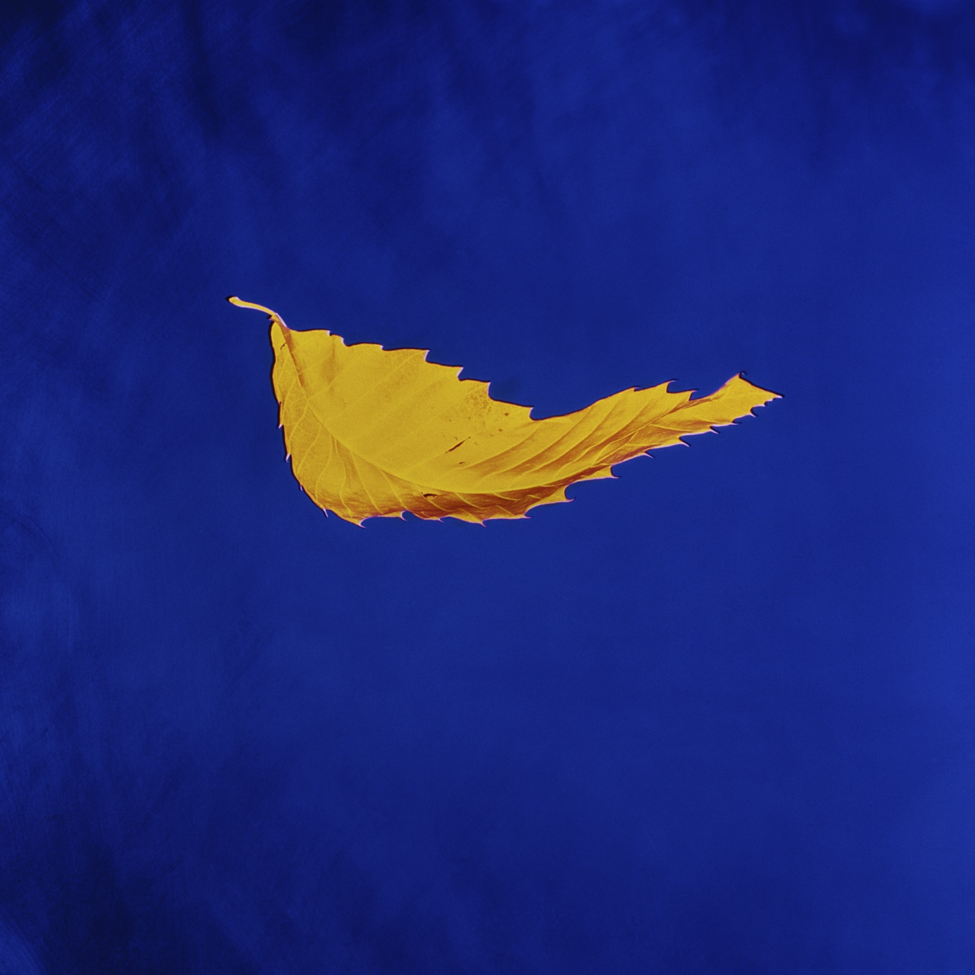 New Order – True Faith (2023 Digital Master) – Single(5054197668760)【24bit／96.0kHz】土耳其区-OppsUnote音乐广场