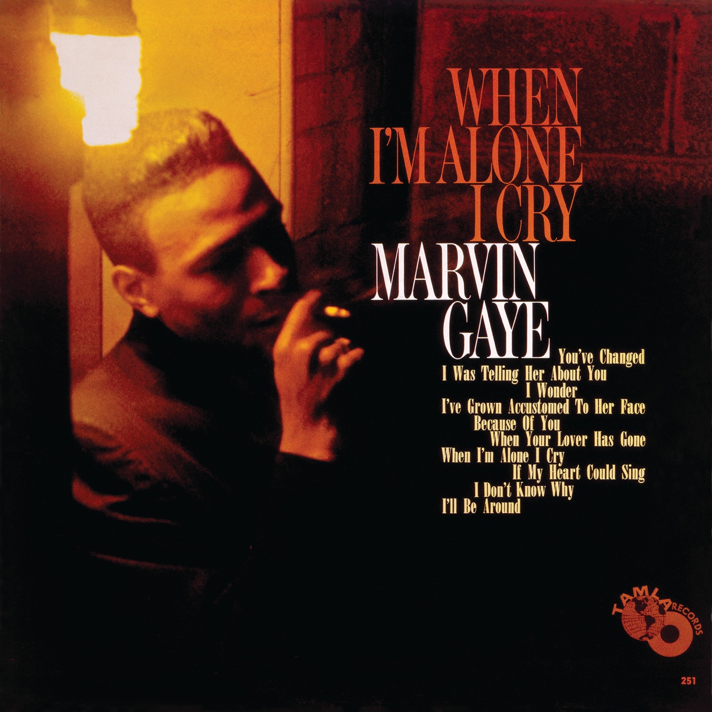 Marvin Gaye – When I’m Alone I Cry(00602547133885)【24bit／44.1kHz】土耳其区-OppsUnote音乐广场