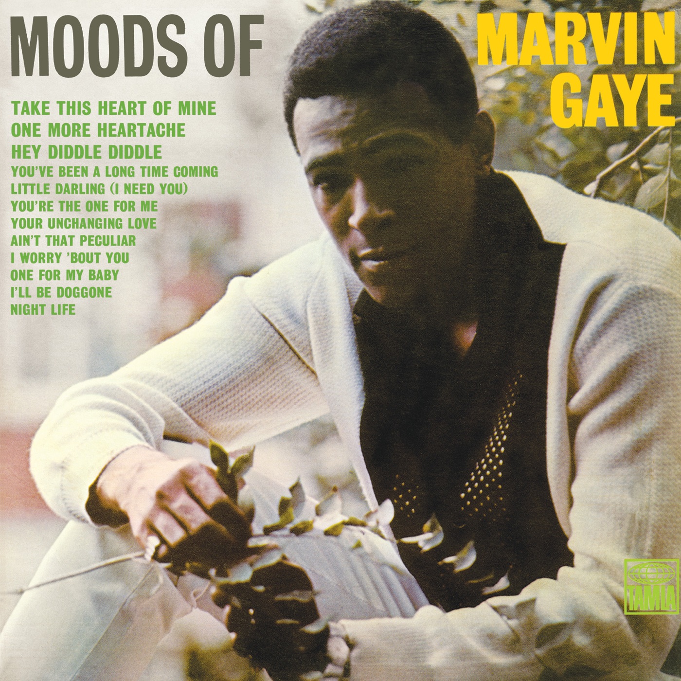Marvin Gaye – Moods of Marvin Gaye(00602547133687)【24bit／44.1kHz】土耳其区-OppsUnote音乐广场
