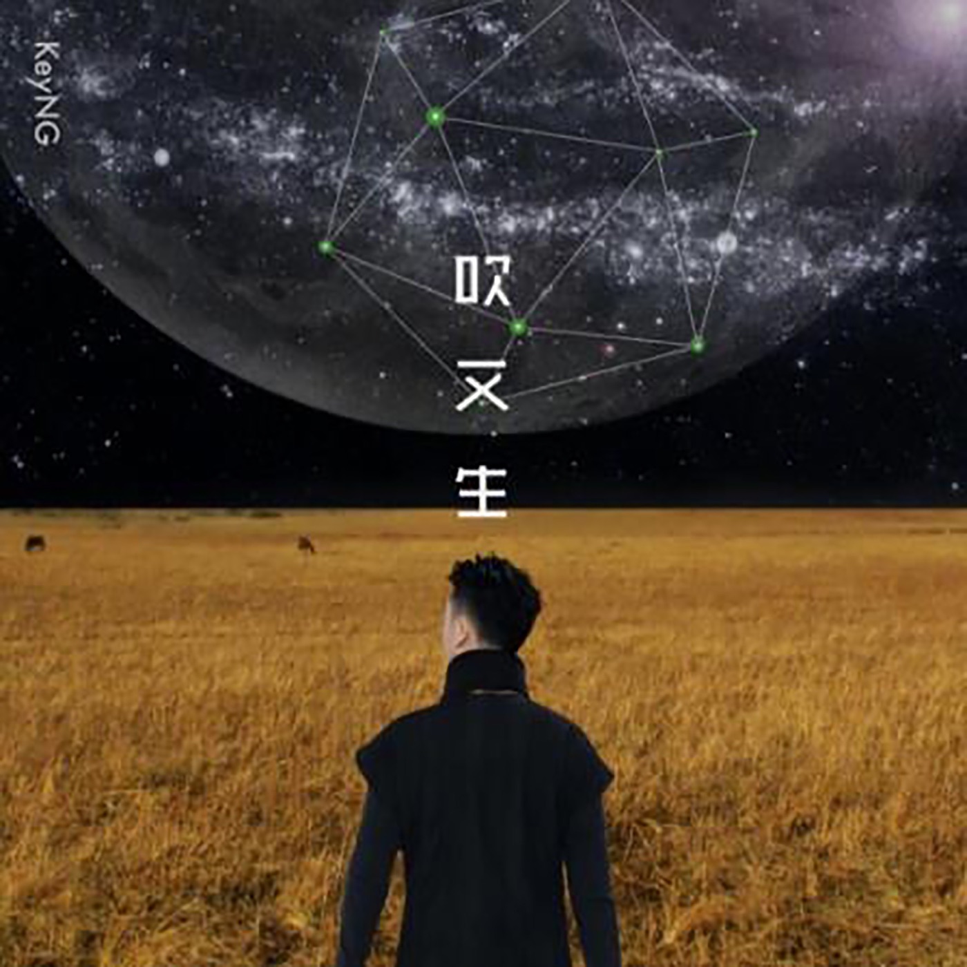 杨和苏KeyNG – 吹又生 – Single(4894859193817)【24bit／48.0kHz】台湾区-OppsUnote音乐广场