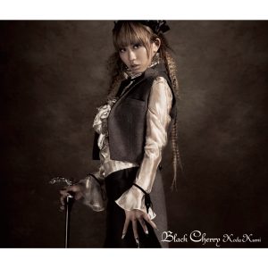 倖田來未 – Black Cherry(4945817476227)【16bit／44.1kHz】日本区-OppsUnote音乐广场