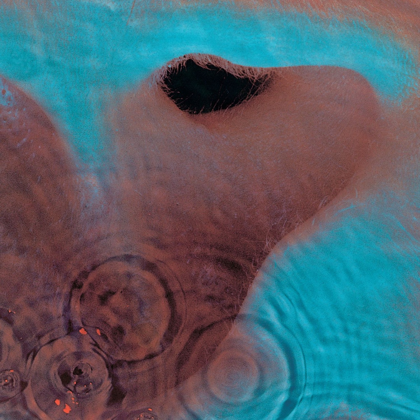 Pink Floyd – Meddle(5099968083755)【24bit／192.0kHz】美国区-OppsUnote音乐广场