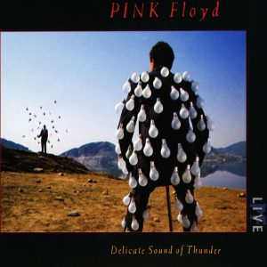 Pink Floyd – Delicate Sound of Thunder (Live)(0077779148059)【16bit／44.1kHz】美国区-OppsUnote音乐广场