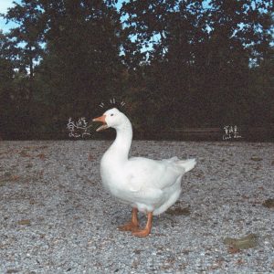 窦靖童 – 春游(704537425977)【24bit／96.0kHz】台湾区-OppsUnote音乐广场