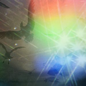 Cornelius – 火花 – Single(5054197661297)【24bit／48.0kHz】日本区-OppsUnote音乐广场