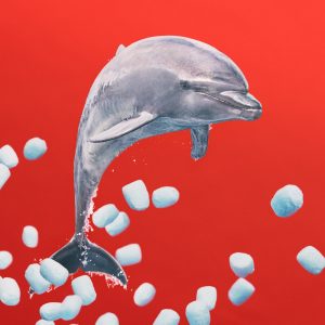 あいみょん – リズム64 – Single(5054197958007)【24bit／96.0kHz】日本区-OppsUnote音乐广场