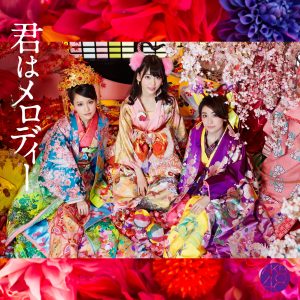 AKB48 – 君はメロディー (Type D) – EP(4988003484644)【16bit／44.1kHz】日本区-OppsUnote音乐广场