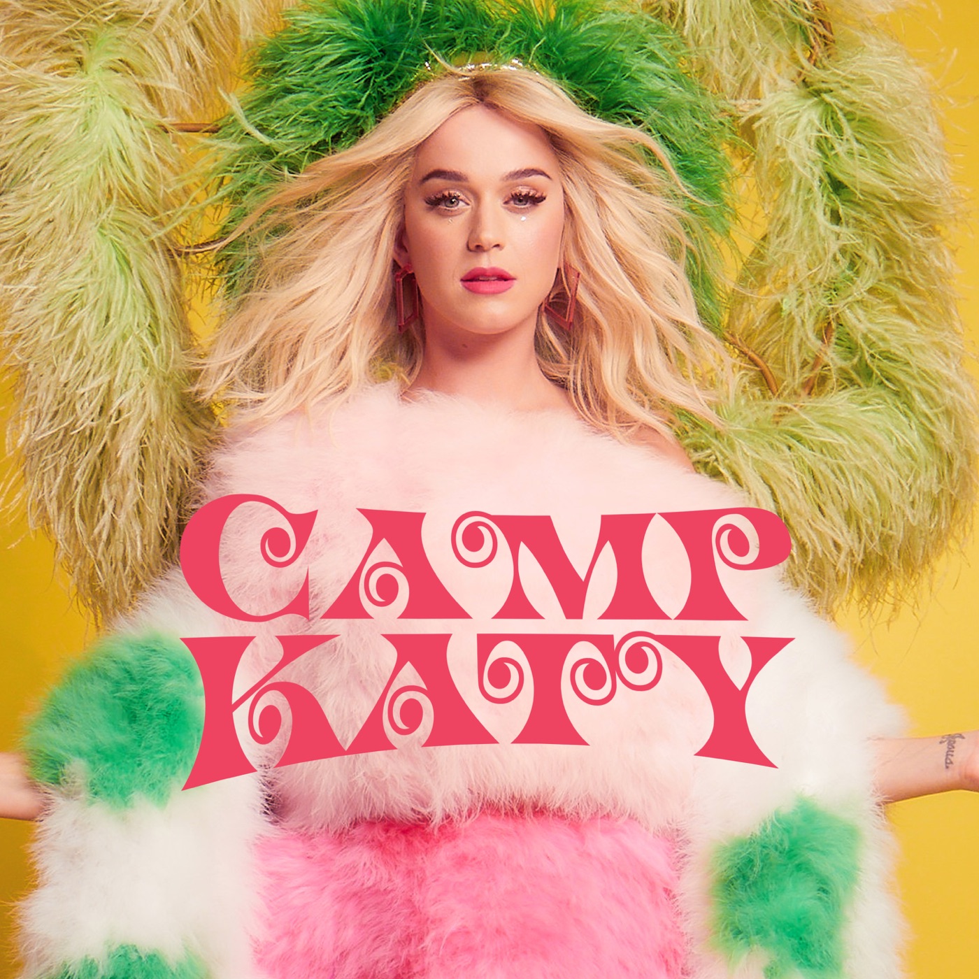 Katy Perry – Camp Katy – EPⒺ(00602435382494)【16bit／44.1kHz】土耳其区-OppsUnote音乐广场