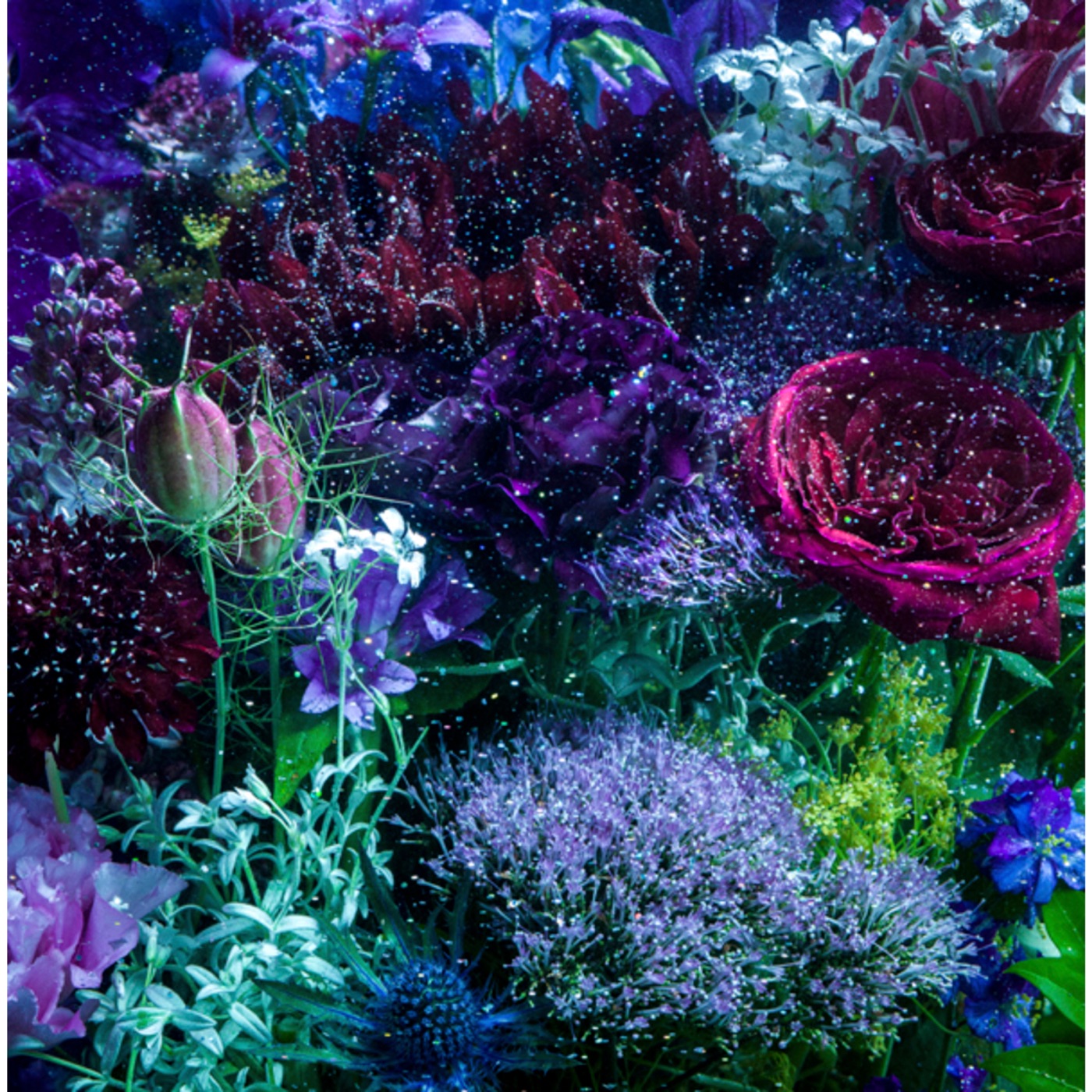 Aimer – あなたに出会わなければ〜夏雪冬花〜／星屑ビーナス – Single(4560429780120)【16bit／44.1kHz】日本区-OppsUnote音乐广场
