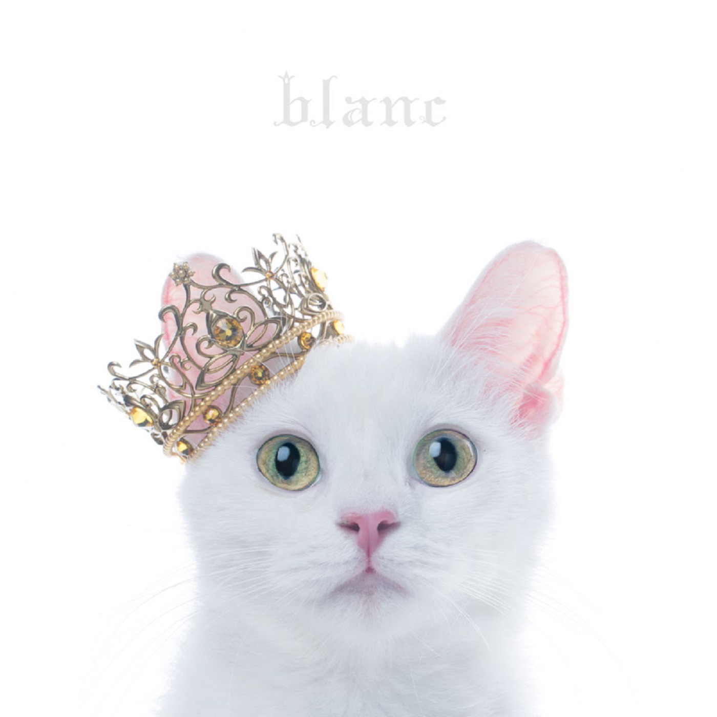 Aimer – BEST SELECTION blanc(4547366306514)【16bit／44.1kHz】日本区-OppsUnote音乐广场