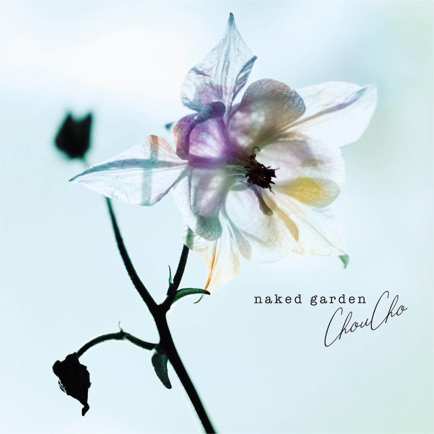 ChouCho – ChouCho Acoustic Album naked garden(4562409330646)【16bit／44.1kHz】日本区-OppsUnote音乐广场