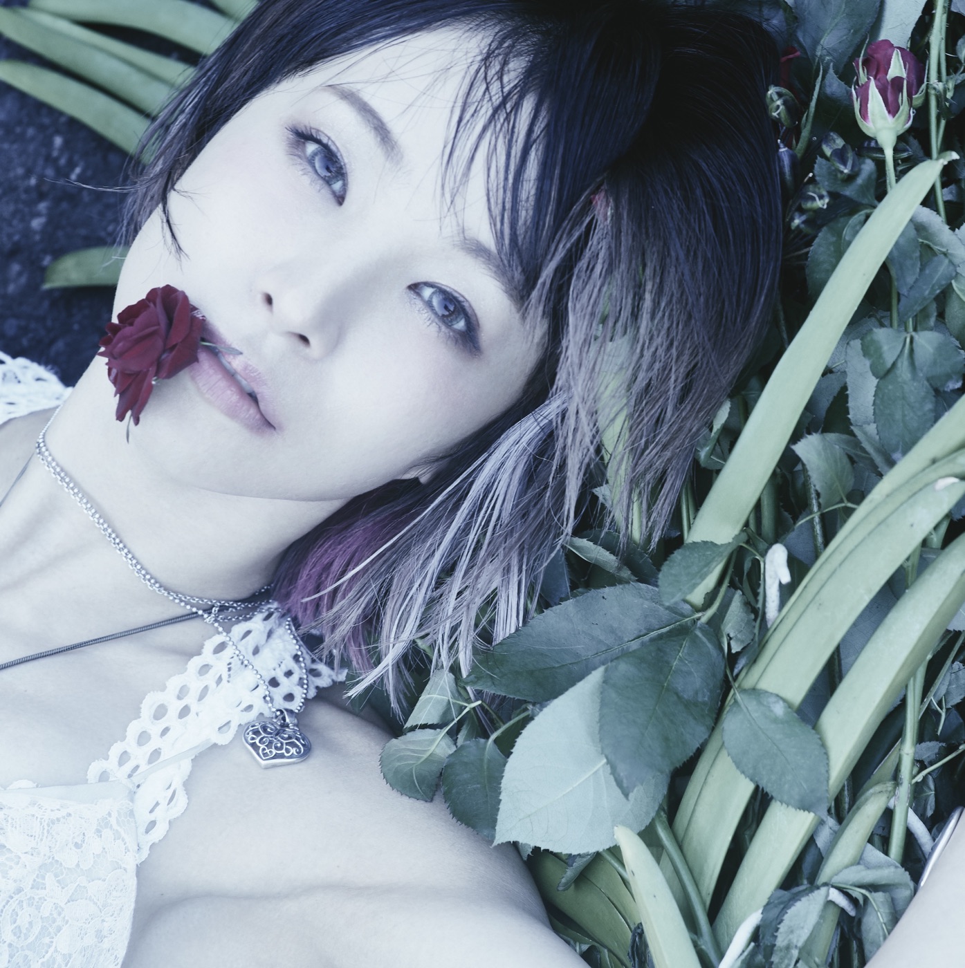LiSA – ASH – Single(4547366332629)【16bit／44.1kHz】日本区-OppsUnote音乐广场