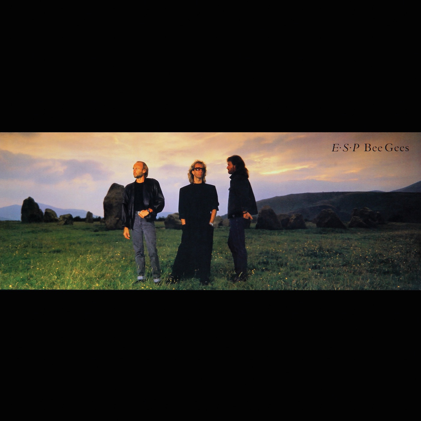 Bee Gees – E.S.P.(00602557608595)【16bit／44.1kHz】美国区-OppsUnote音乐广场