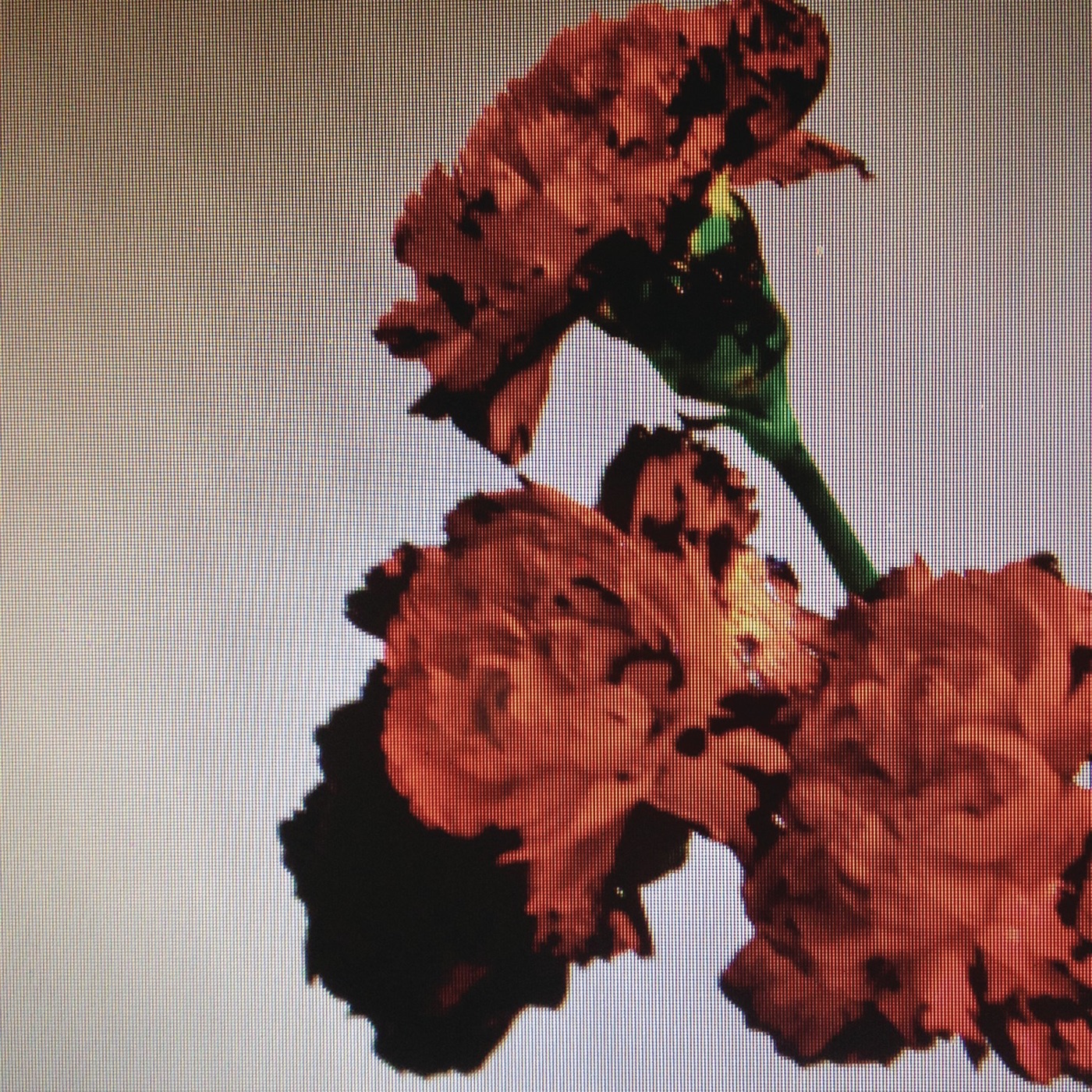 John Legend – Made To Love (Remixes) – Single(886444187077)【16bit／44.1kHz】美国区-OppsUnote音乐广场