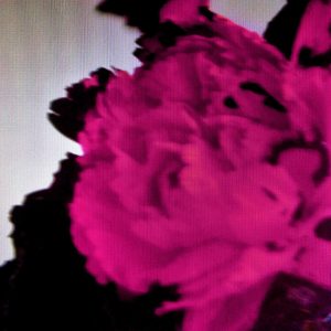 John Legend – All of Me (Live) – Single(886444822169)【16bit／44.1kHz】美国区-OppsUnote音乐广场