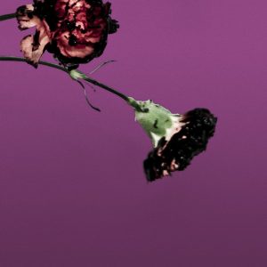 John Legend – You & I (Nobody In the World) [R3hab Remix – Radio Edit] – Single(886444825139)【16bit／44.1kHz】美国区-OppsUnote音乐广场