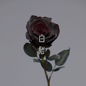 方大同 – 白发 – Single(190295439750)【16bit／44.1kHz】台湾区-OppsUnote音乐广场