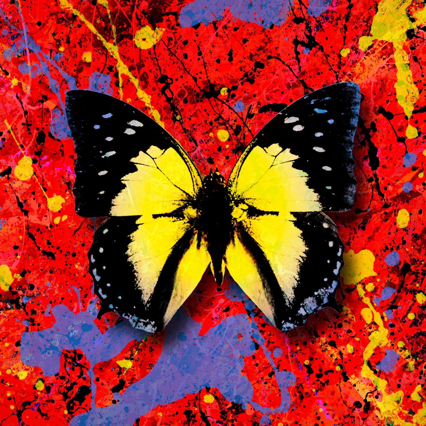 Ed Sheeran – 2step (feat. 1.Cuz) – SingleⒺ(5054197163463)【24bit／44.1kHz】美国区-OppsUnote音乐广场