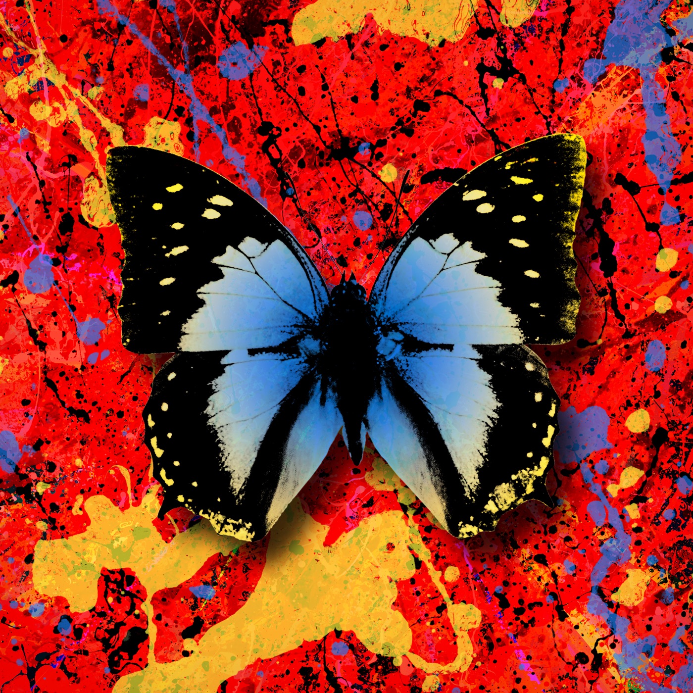 Ed Sheeran – 2step (feat. Antytila) – Single(5054197163555)【24bit／44.1kHz】美国区-OppsUnote音乐广场