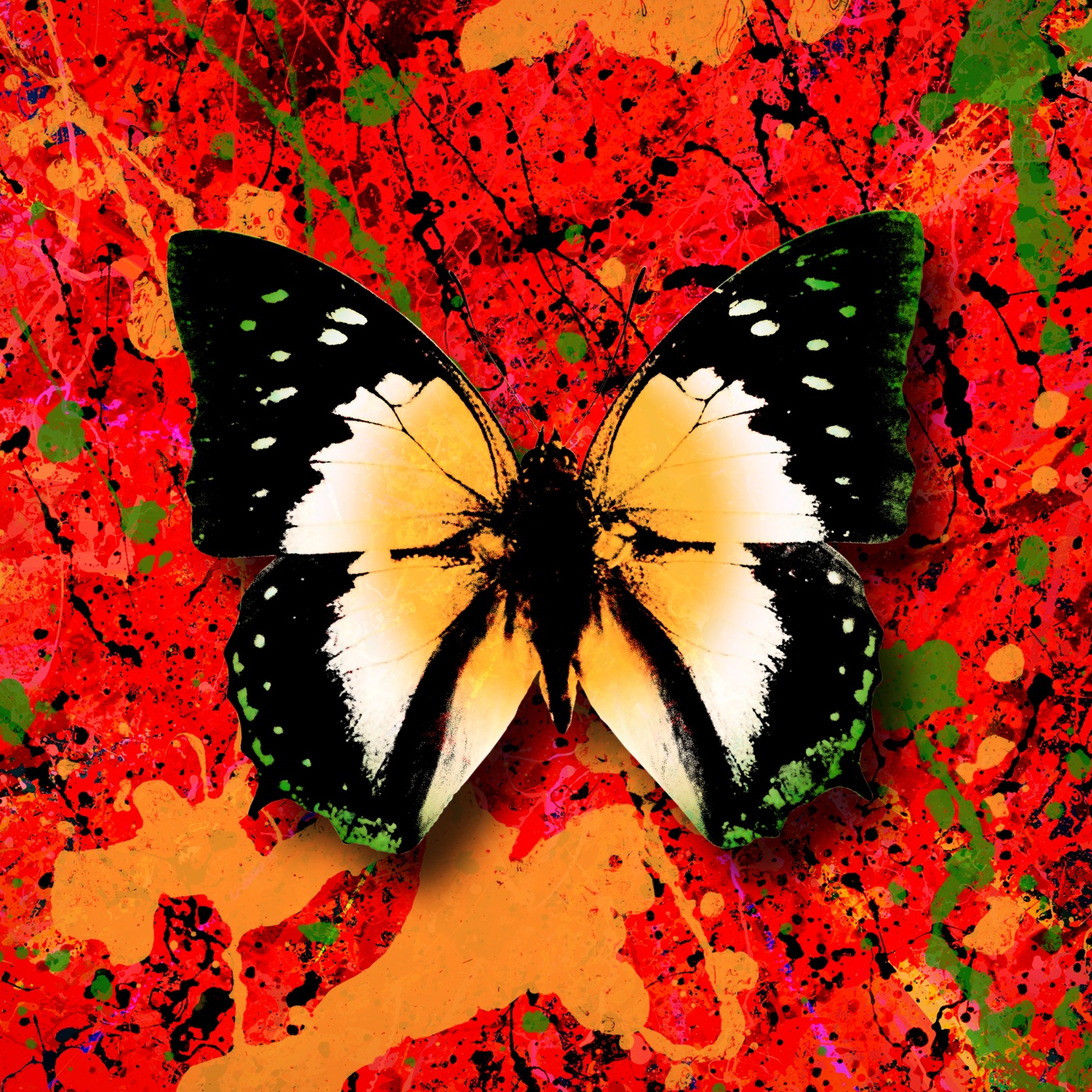 Ed Sheeran – 2step (feat. Armaan Malik) – Single(5054197163531)【24bit／44.1kHz】美国区-OppsUnote音乐广场