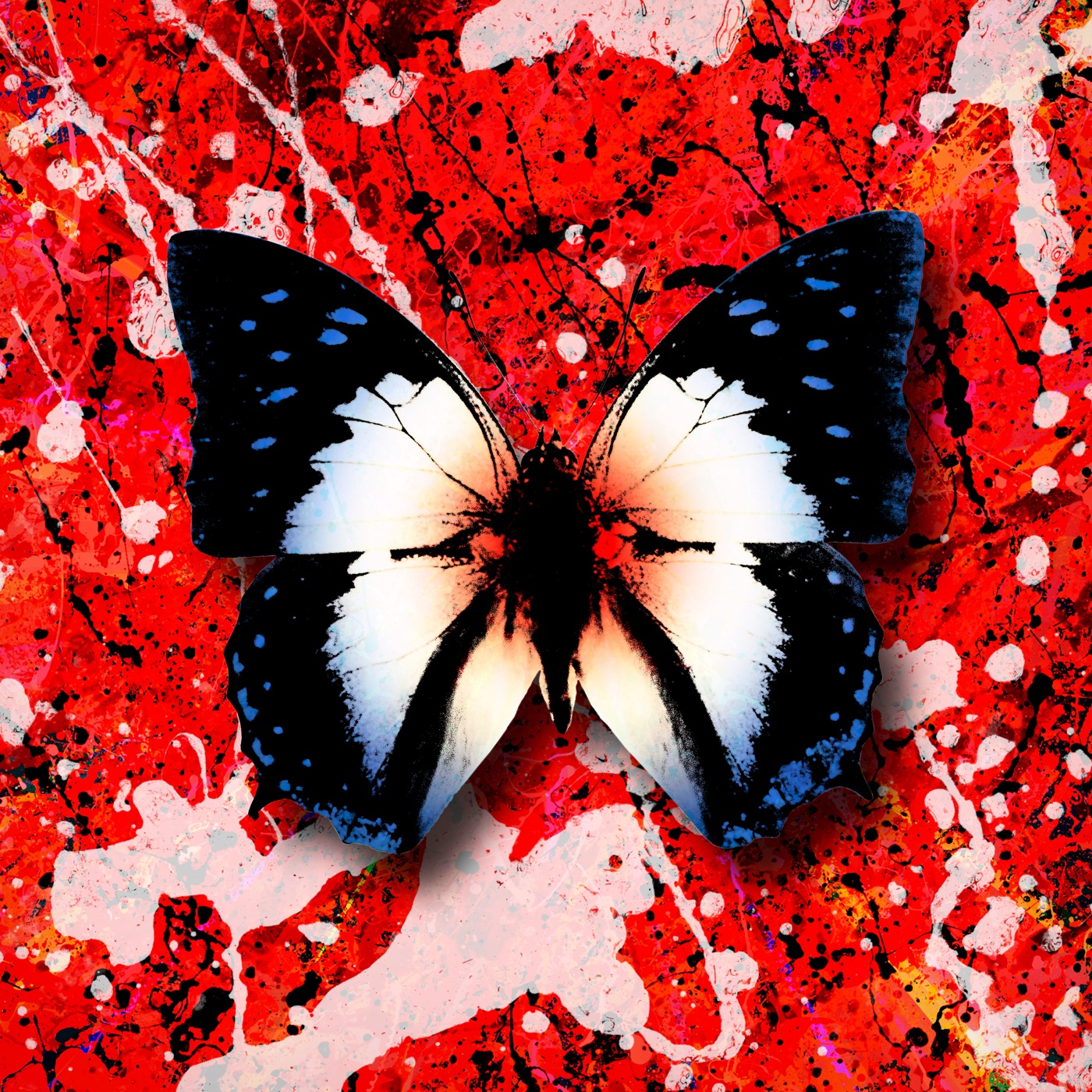 Ed Sheeran – 2step (feat. Budjerah) – Single(5054197163562)【24bit／44.1kHz】美国区-OppsUnote音乐广场