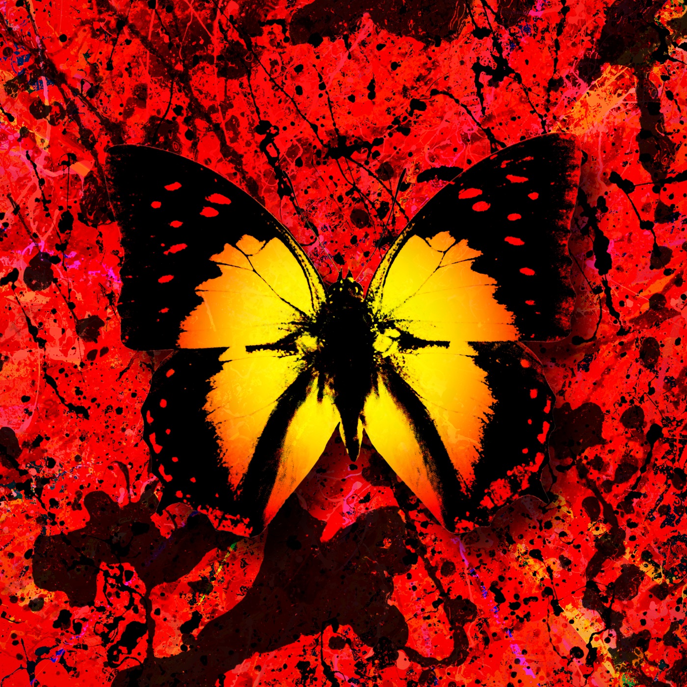 Ed Sheeran – 2step (feat. reezy) – Single(5054197163500)【24bit／44.1kHz】美国区-OppsUnote音乐广场