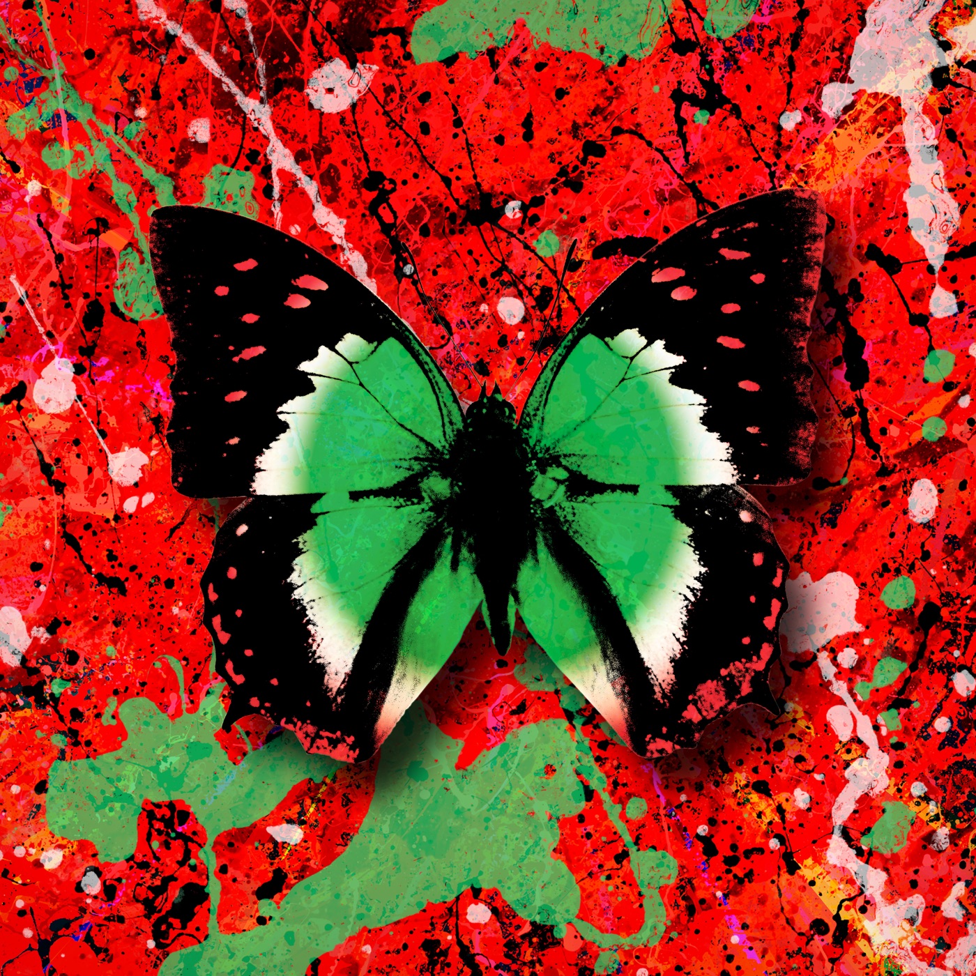 Ed Sheeran – 2step (feat. Ultimo) – Single(5054197163456)【24bit／44.1kHz】美国区-OppsUnote音乐广场