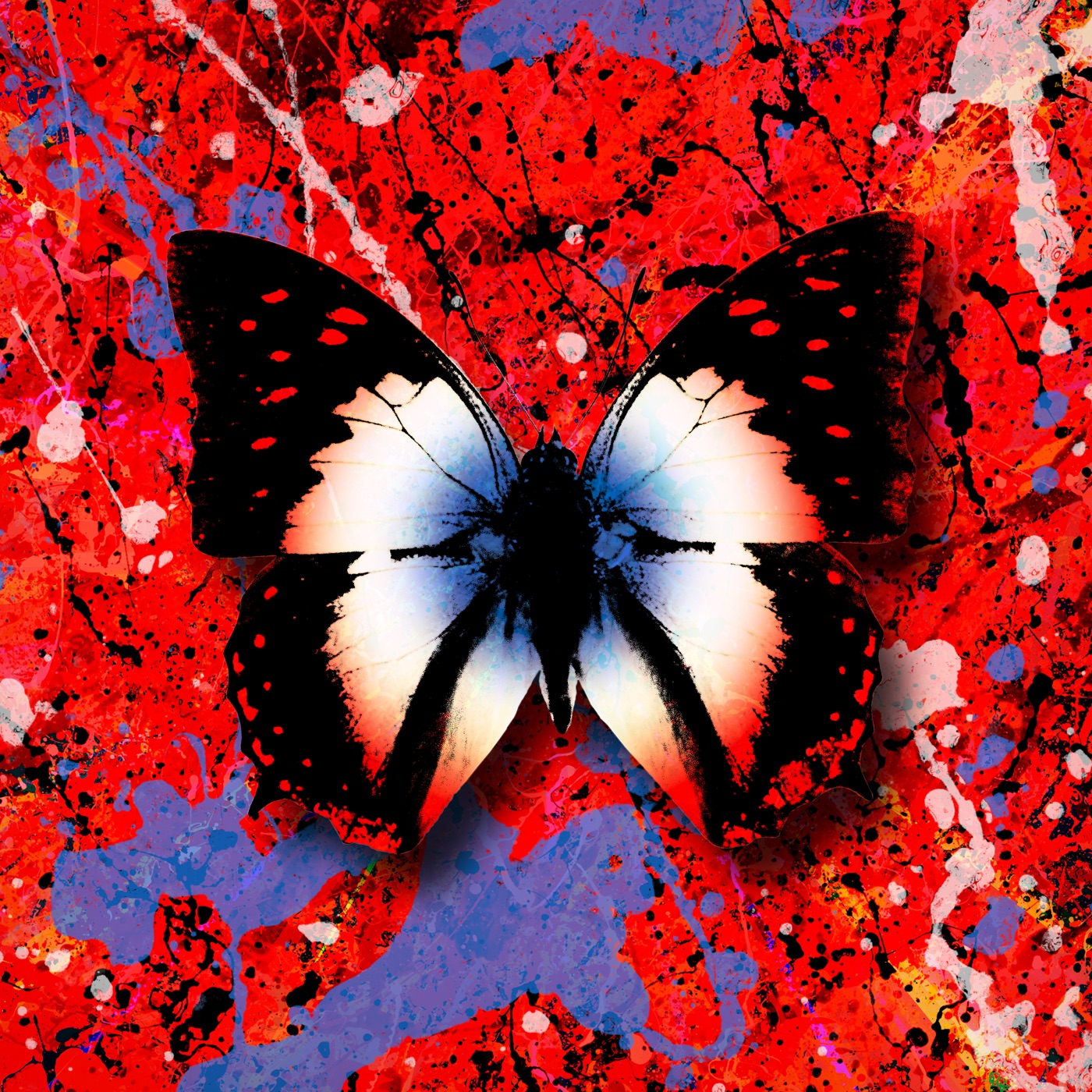 Ed Sheeran – 2step (The Remixes)Ⓔ(5054197173851)【24bit／44.1kHz】美国区-OppsUnote音乐广场