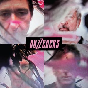 Buzzcocks – In the Back – Single(5060186927763)【16bit／44.1kHz】土耳其区-OppsUnote音乐广场