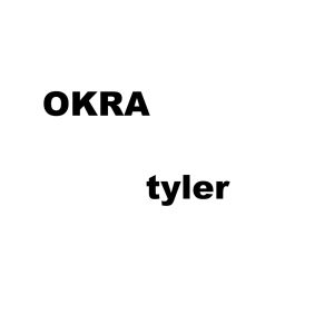 Tyler, The Creator – OKRA – SingleⒺ(886447038727)【16bit／44.1kHz】土耳其区-OppsUnote音乐广场