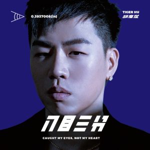 胡彦斌 – 入目三分(190295495985)【16bit／44.1kHz】台湾区-OppsUnote音乐广场