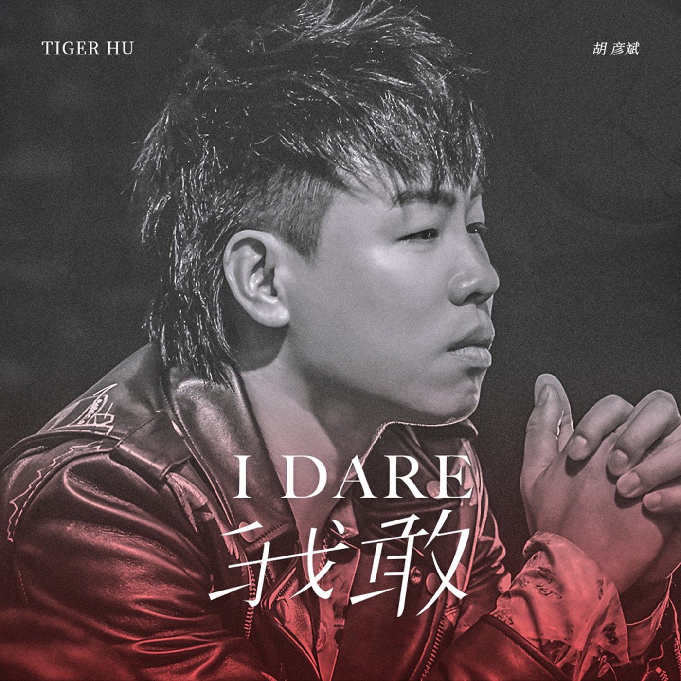胡彦斌 – 我敢 – Single(190295530617)【16bit／44.1kHz】台湾区-OppsUnote音乐广场