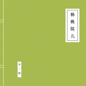 窦唯 – 杨桃院儿(9787889237178)【16bit／44.1kHz】台湾区-OppsUnote音乐广场