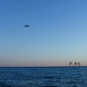 李志 – F(9787883255154)【16bit／44.1kHz】台湾区-OppsUnote音乐广场