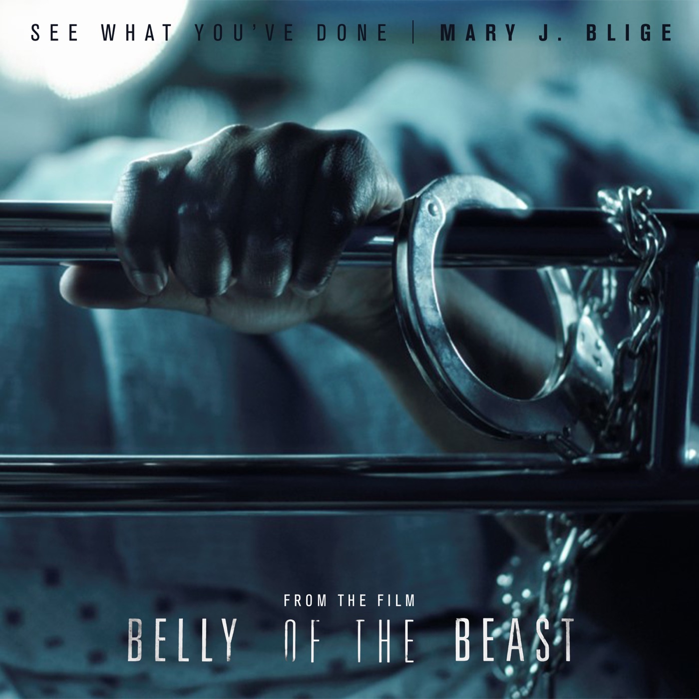 Mary J. Blige – See What You’ve Done (From The Film Belly Of The Beast) – Single(00602435360416)【24bit／44.1kHz】美国区-OppsUnote音乐广场