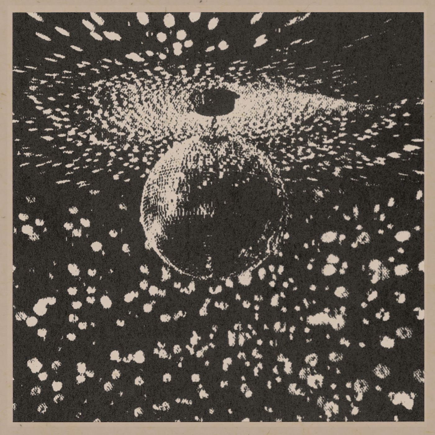 Neil Young – Mirror Ball(093624593461)【16bit／44.1kHz】美国区-OppsUnote音乐广场