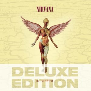 Nirvana – In Utero (20th Anniversary Deluxe Edition)(00602537528646)【24bit／44.1kHz】美国区-OppsUnote音乐广场