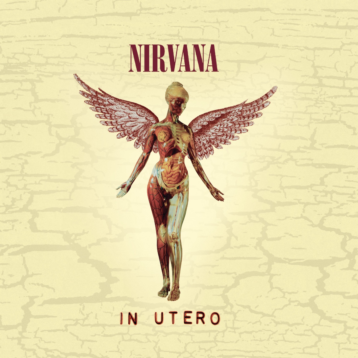 Nirvana – In Utero (20th Anniversary Edition)(00602537526840)【24bit／44.1kHz】美国区-OppsUnote音乐广场
