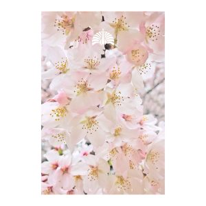 東京事変 – 緑酒 – Single(00602435953694)【16bit／44.1kHz】日本区-OppsUnote音乐广场