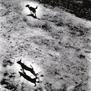 betcover!! – 中学生(4542114453243)【16bit／44.1kHz】日本区-OppsUnote音乐广场